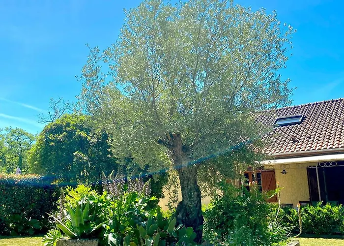 Semesterbostad Pech Joli *